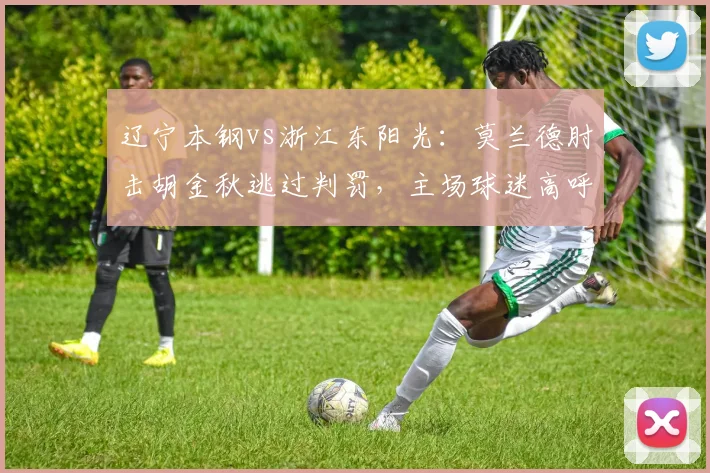 辽宁本钢vs浙江东阳光：莫兰德肘击胡金秋逃过判罚，主场球迷高呼黑哨