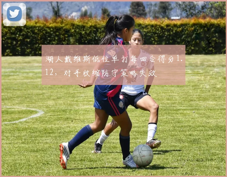 湖人戴维斯低位单打每回合得分1.12，对手收缩防守策略失效